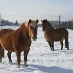 D'hotes 